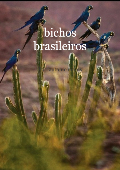bichos brasileiros