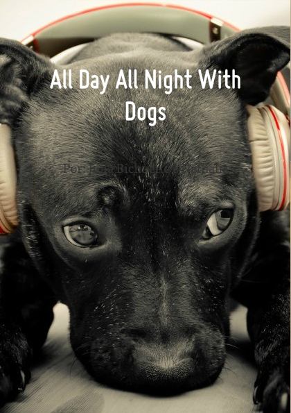 All Day All Night With Dogs