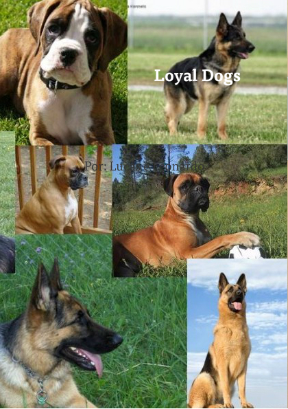 Loyal Dogs