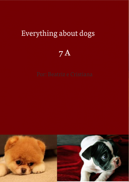 Everything about dogs                              
