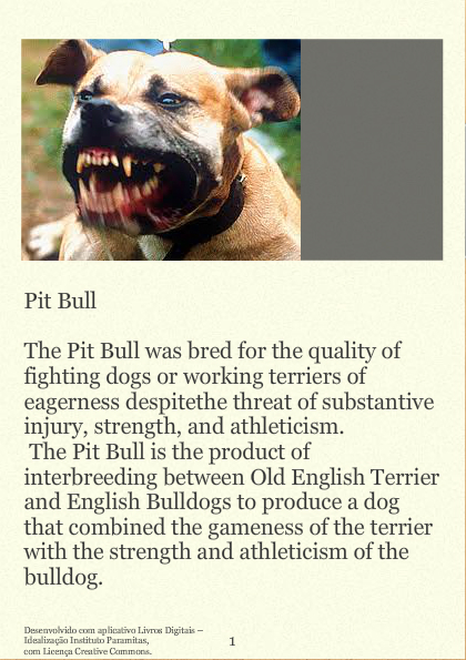 Pit Bull and