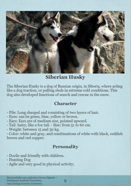 Canine Dictionary