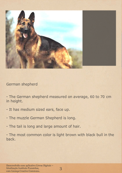 Bit Bull and German Shepherd