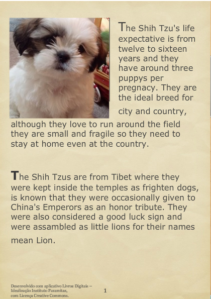 Everything About Bulldogs and Shih Tzus